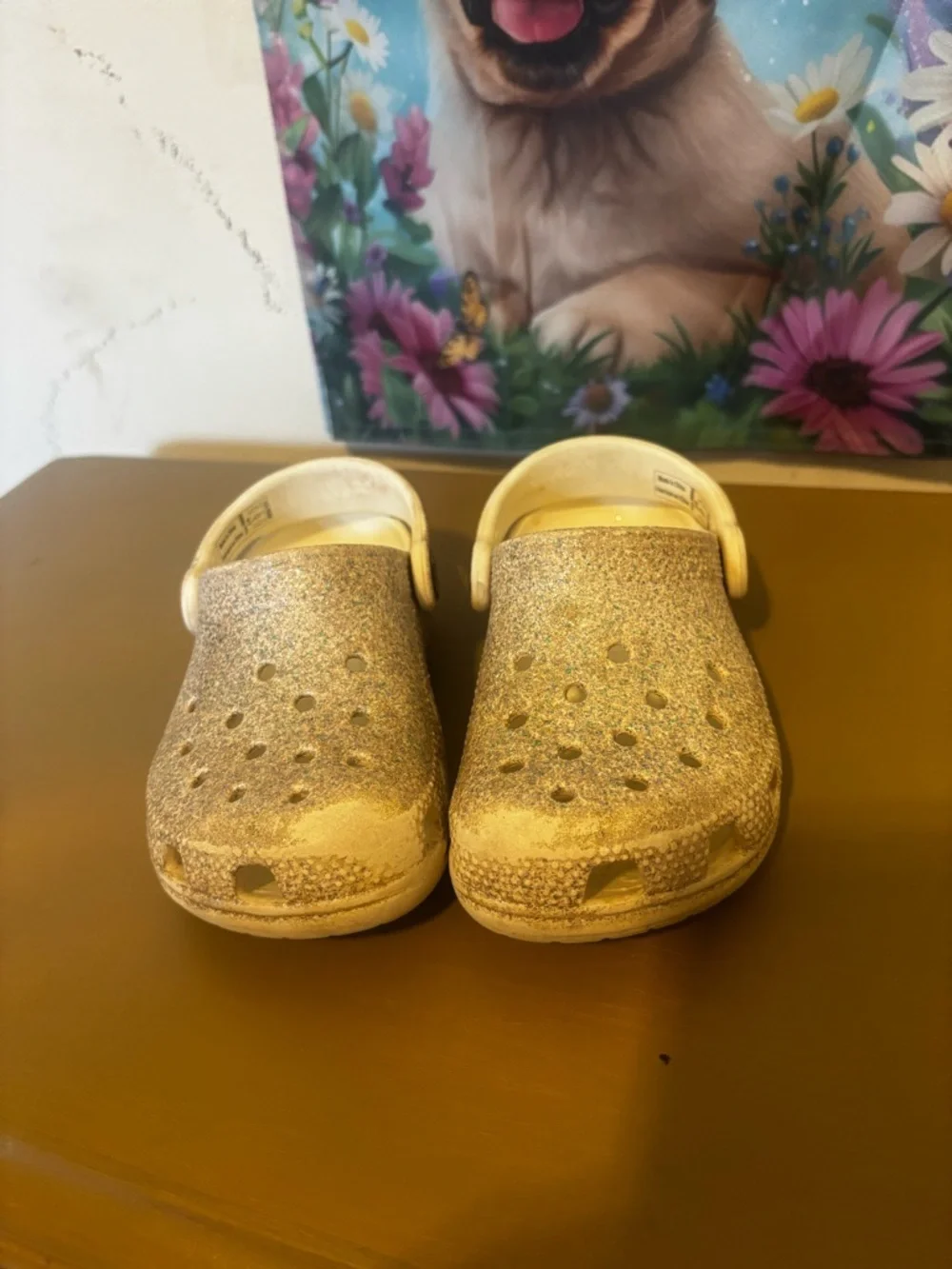 CROCS Kids Glitter Clogs in Silver